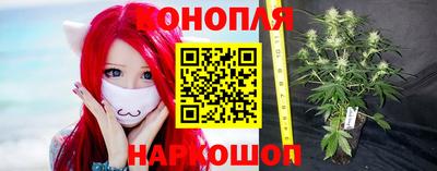 стаф Владивосток