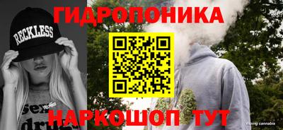 стаф Владивосток